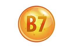 Vitamín B7 - biotin
