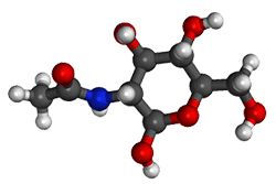 Acetylglukosamin