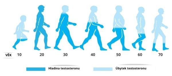 Hladina testosteronu